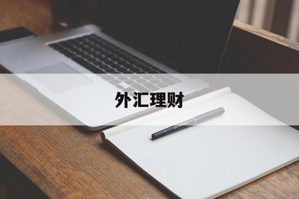 外汇理财(外汇理财产品收益的获取以人民币币值计算)